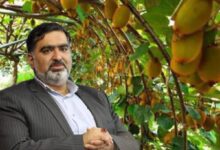 بابک مومنی،رئیس سازمان جهاد کشاورزی مازندران